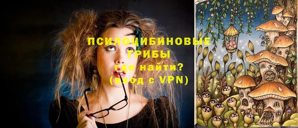хмурый Алексеевка