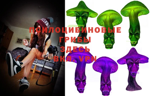 хмурый Алексеевка