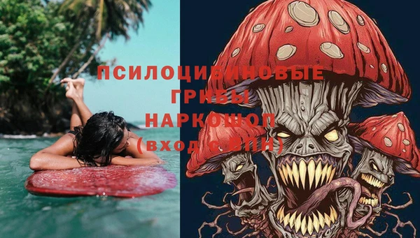 хмурый Алексеевка
