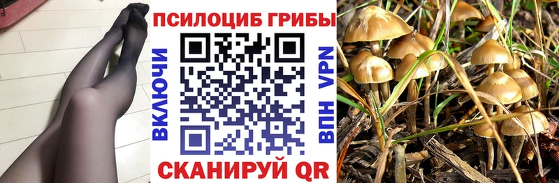 наркотики  Ленинск  Псилоцибиновые грибы прущие грибы 