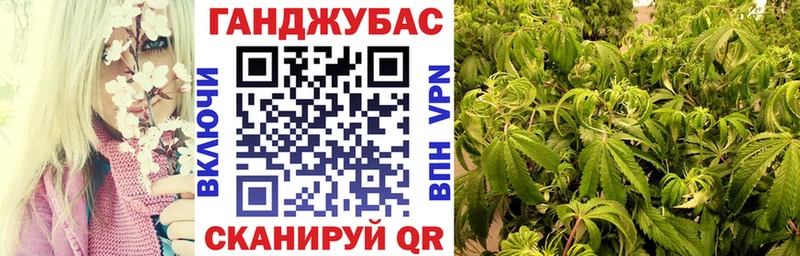 наркошоп Ленинск МАРИХУАНА SATIVA & INDICA